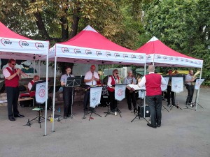 musikalische Unterhaltung auf dem Sommerfest